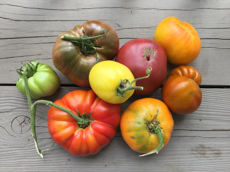 RidgeBridge Farm, home of Ohio's Finest Heirloom Tomatoes Avon, OH